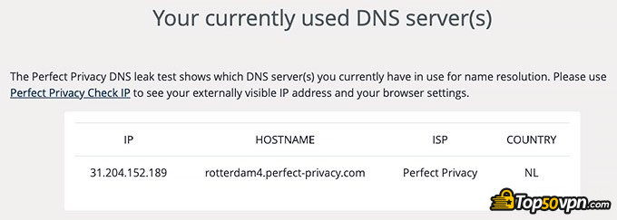 Đánh giá Perfect Privacy VPN: Rò rỉ DNS.